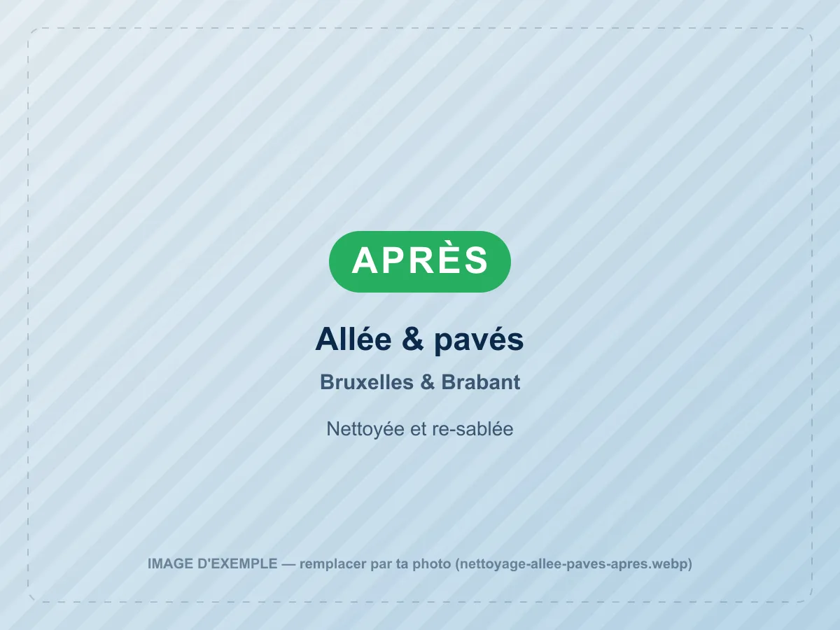 Allée & pavés après nettoyage haute pression à Bruxelles & Brabant