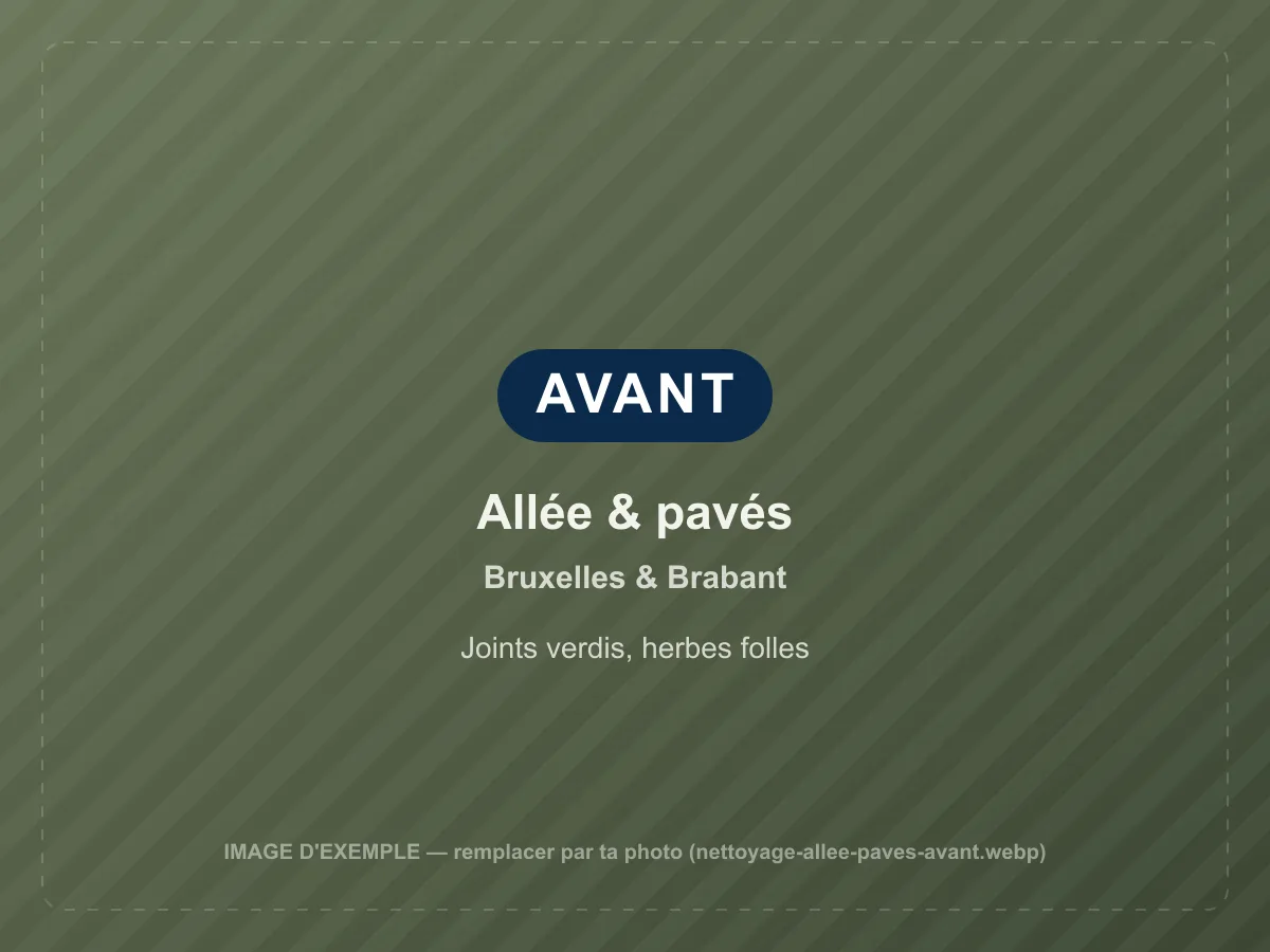Allée & pavés avant nettoyage à Bruxelles & Brabant