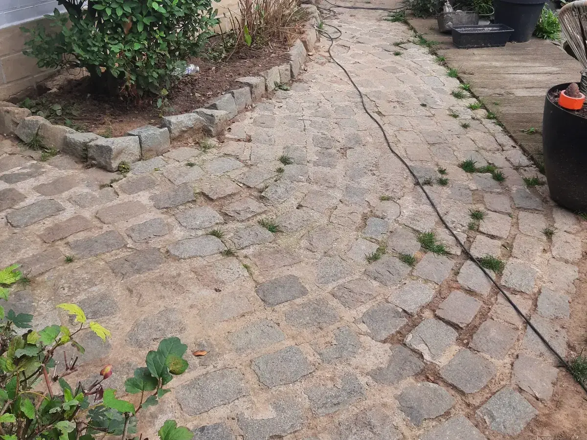 Allée en pavés envahie de mousse avant nettoyage à Rhode-Saint-Genèse