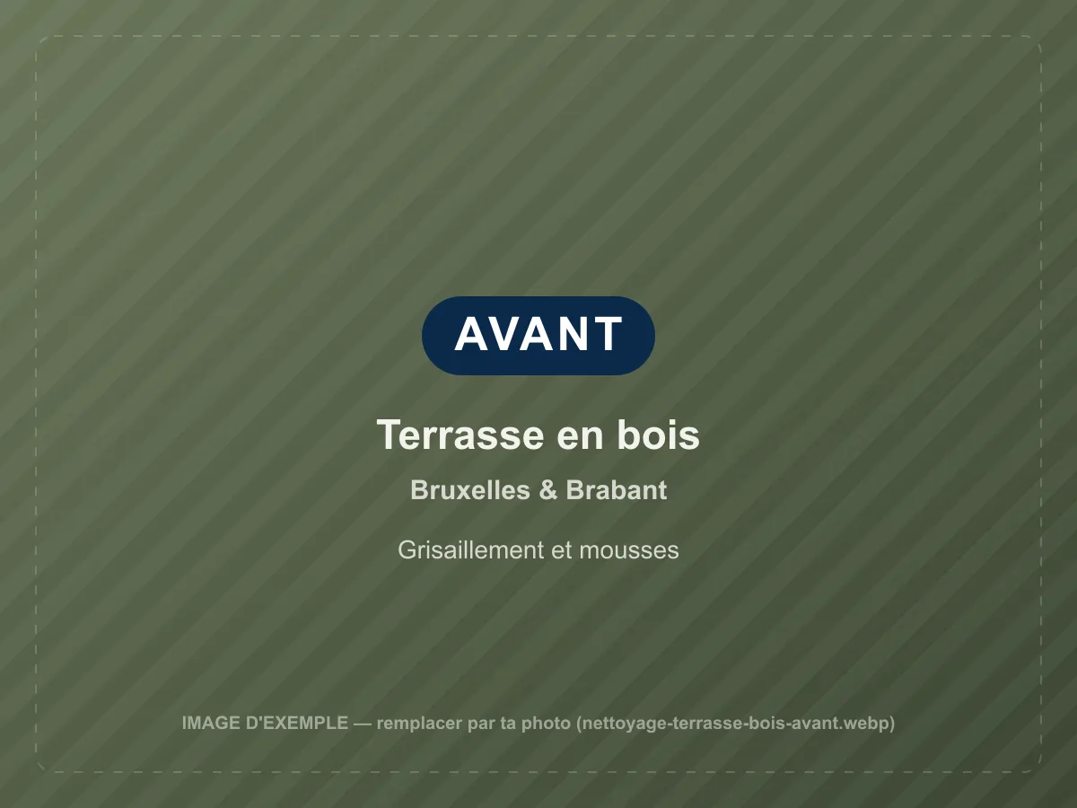 Terrasse en bois avant nettoyage à Bruxelles & Brabant