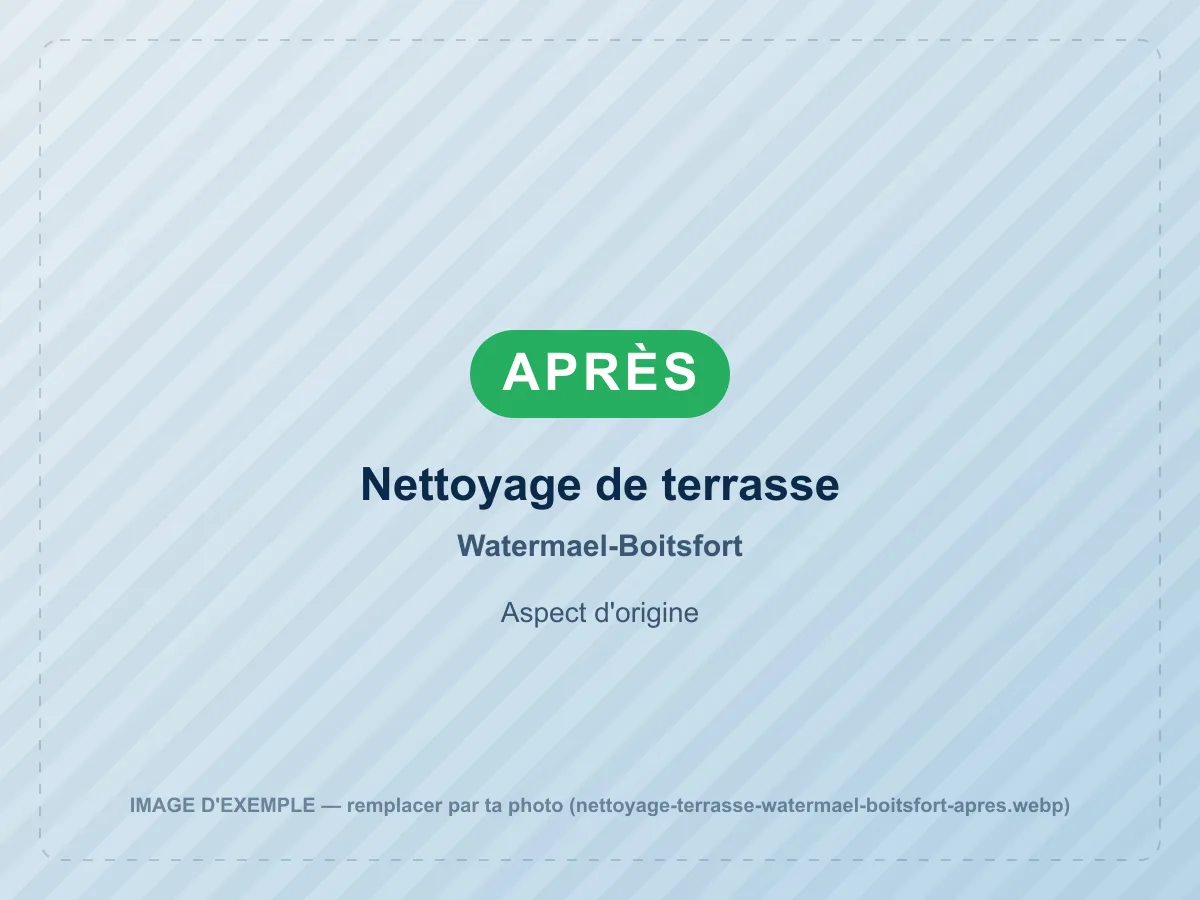 Nettoyage de terrasse après nettoyage haute pression à Watermael-Boitsfort